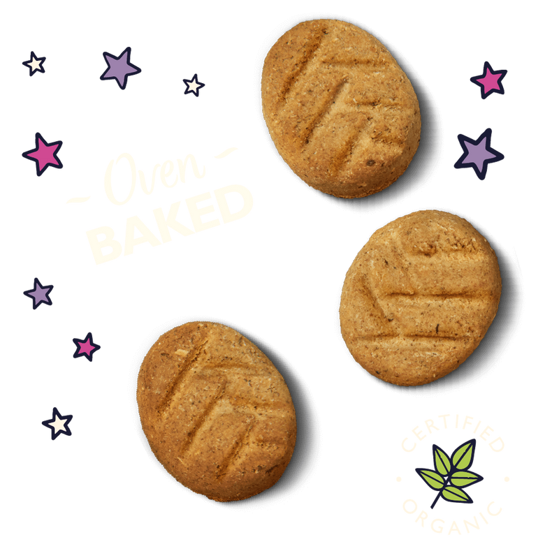 Lilys kitchen Organic Bedtime Biscuits