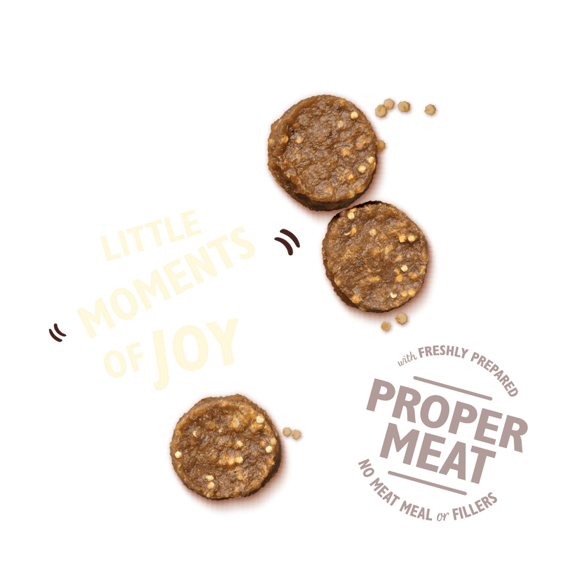 Lilys Kitchen Chicken Bites