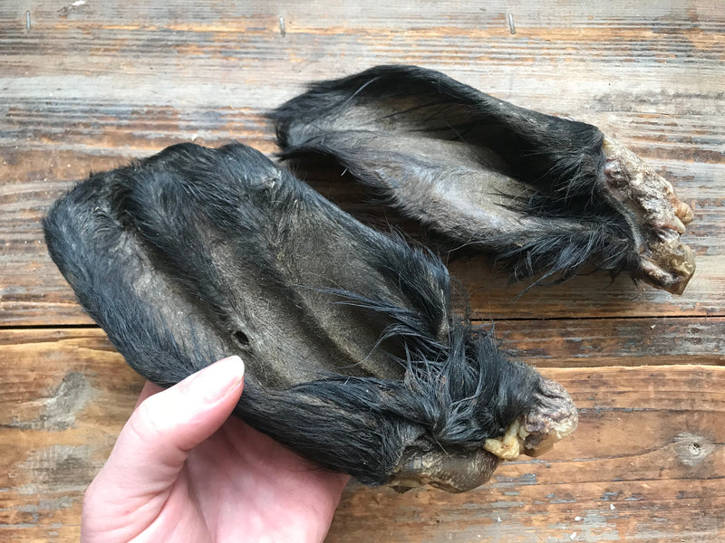 Okseører med pels, 5 stk