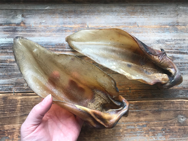 Okseøre med ørermuskel