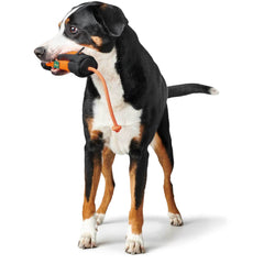 Hunter preydummy m. snor