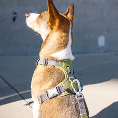 DOG Copenhagen Walk Pro, Hunting Green (XS tilbage)
