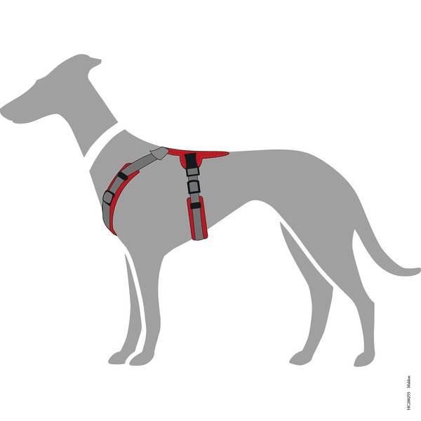 Hundesele, Hunter Maldon i rød