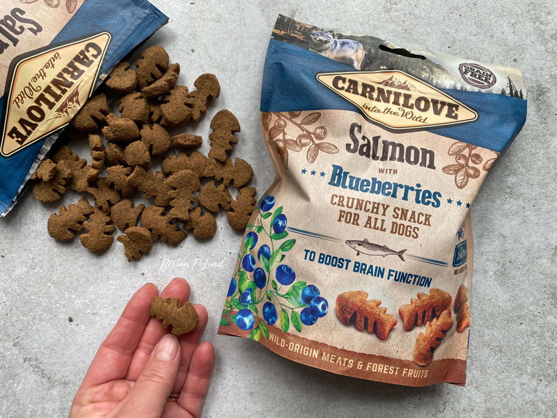 Carnilove Crunchy laks med blåbær