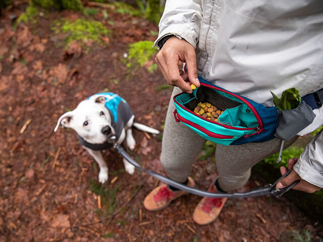 Godbidstaske, Ruffwear Trail Hip Pack